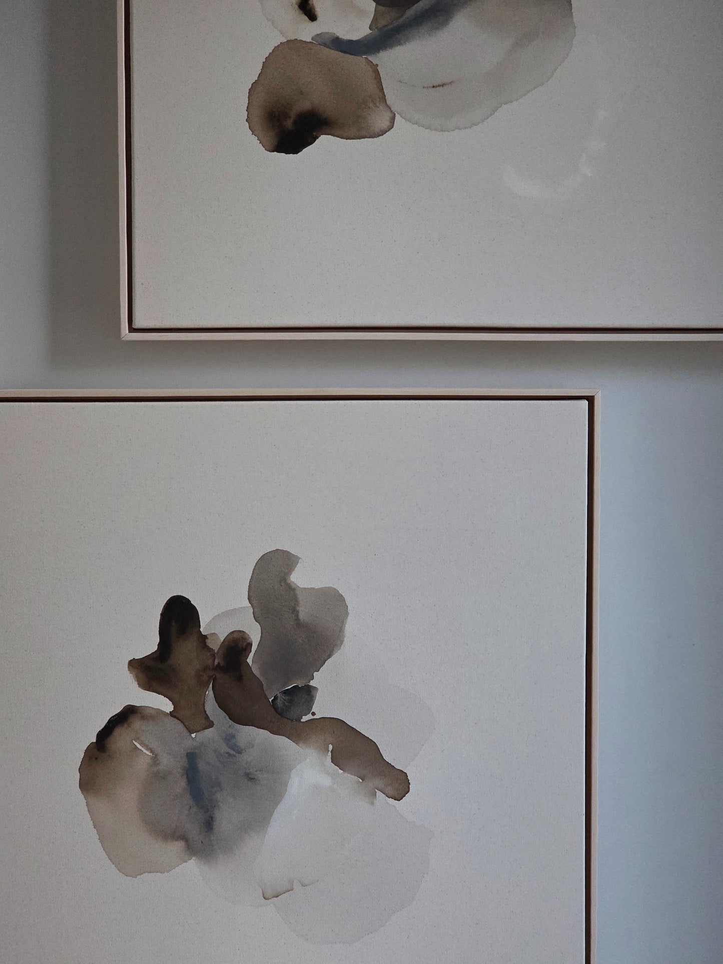 echoes along the shore